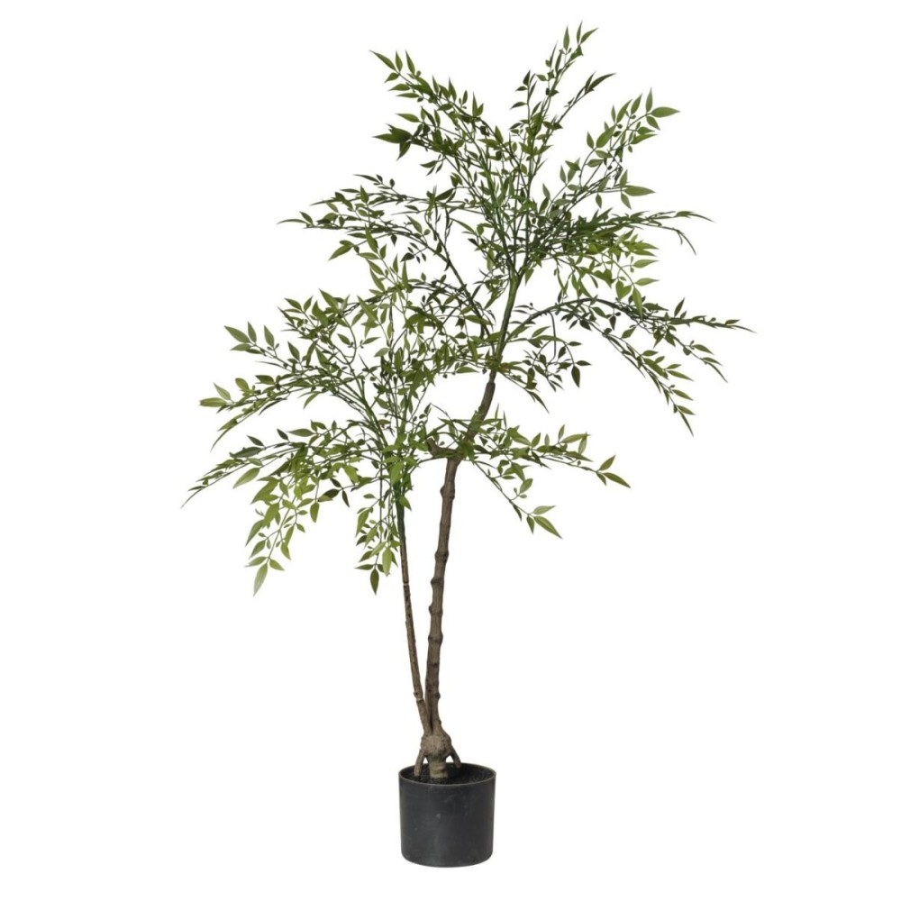 PIANTA NANDINA H.120CM. IN VASO